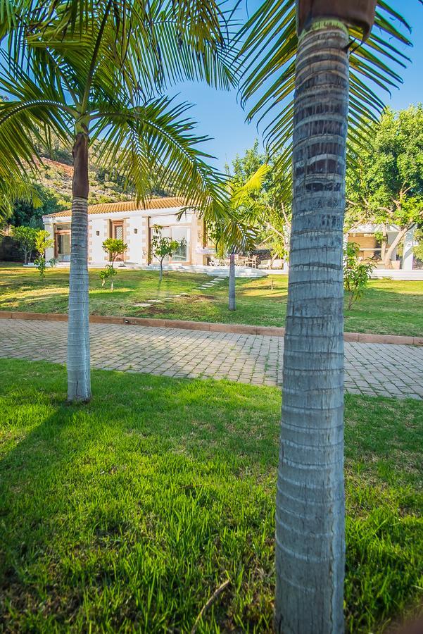 Villa Icons Sea Of Crete à Malia Extérieur photo
